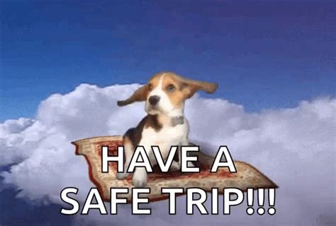 have a safe trip meme.